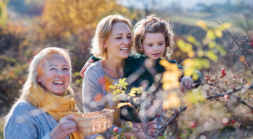 A mother, daughter and granddaughter are picking grapes off of vines.